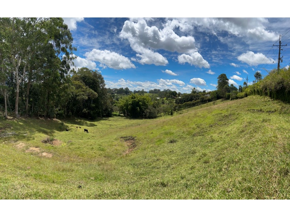 Venta de Lote en Llanogrande — foto 6