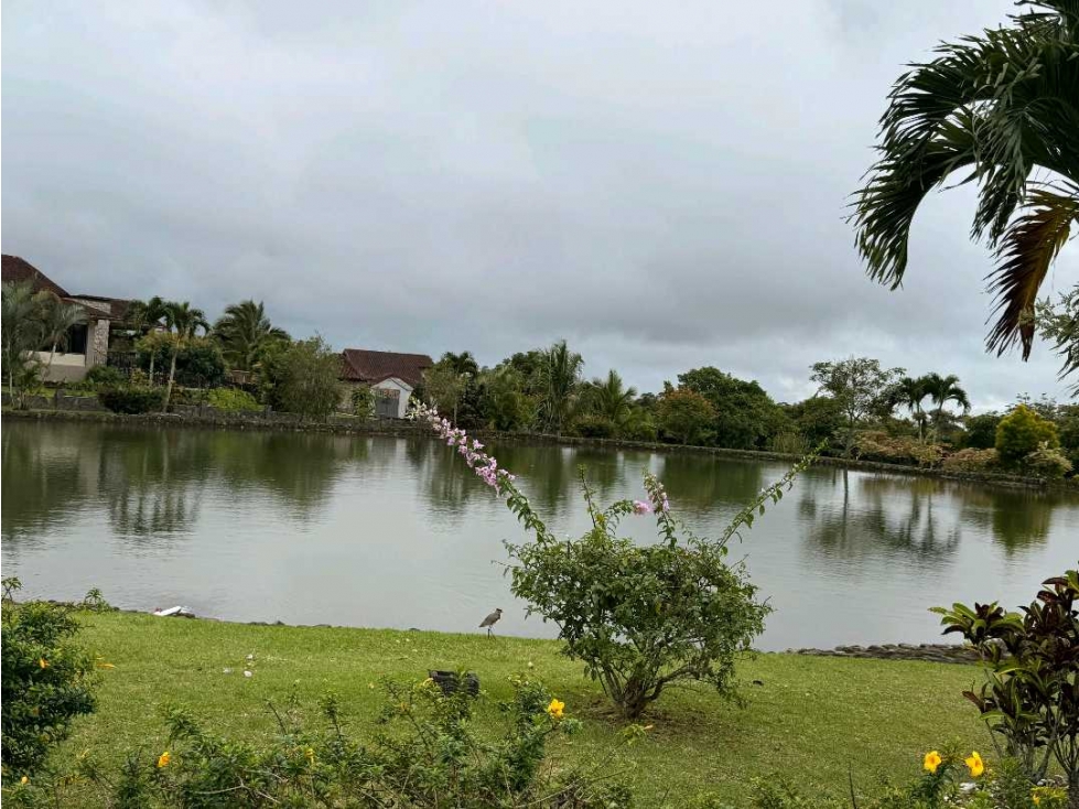 VENTA DE LOTE EN LOS MOLINOS 1,313 METROS DE ESQUINA — foto 3