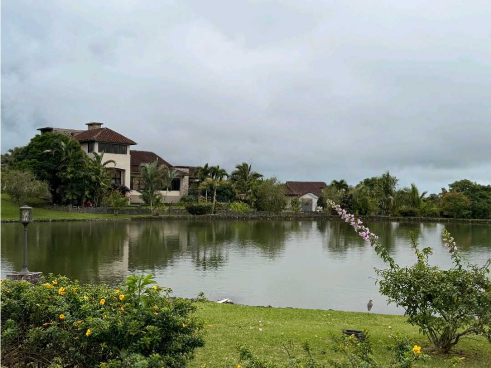 VENTA DE LOTE EN LOS MOLINOS 1,313 METROS DE ESQUINA — foto 4