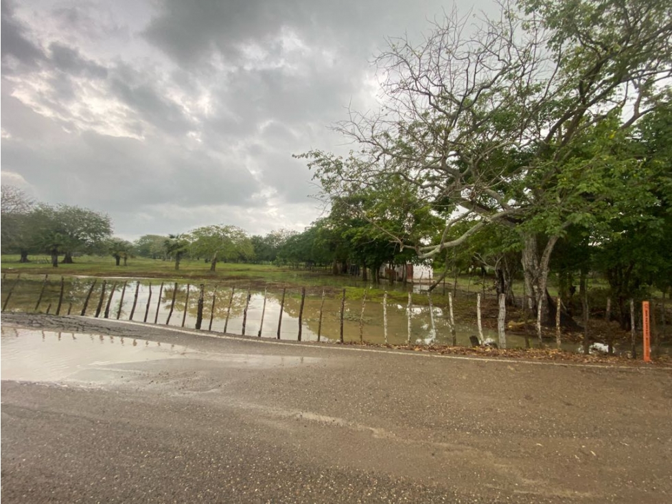 VENTA DE LOTE EN MANZANILLO CARTAGENA — foto 3
