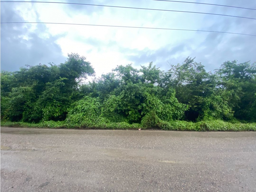 VENTA DE LOTE EN MANZANILLO CARTAGENA — foto 6
