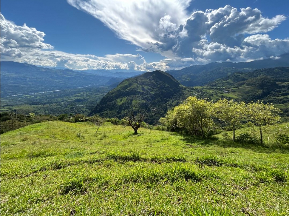 VENTA DE LOTE EN MARSELLA SUROESTE DE ANTIOQUIA - 2