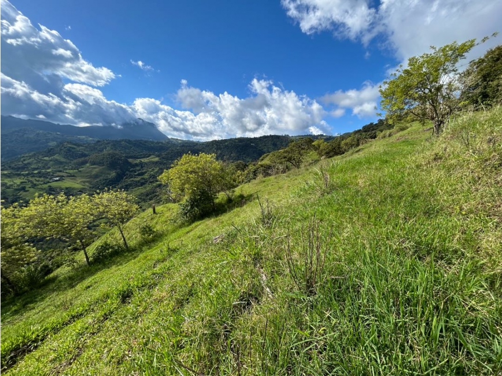 VENTA DE LOTE EN MARSELLA SUROESTE DE ANTIOQUIA - 3