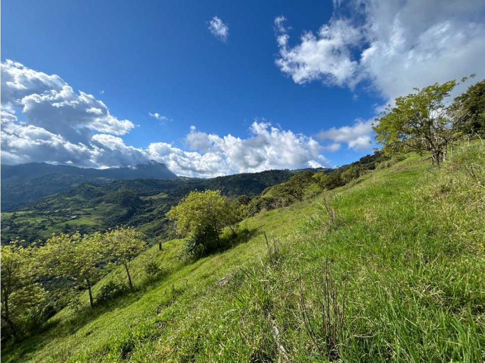 VENTA DE LOTE EN MARSELLA SUROESTE DE ANTIOQUIA - 4