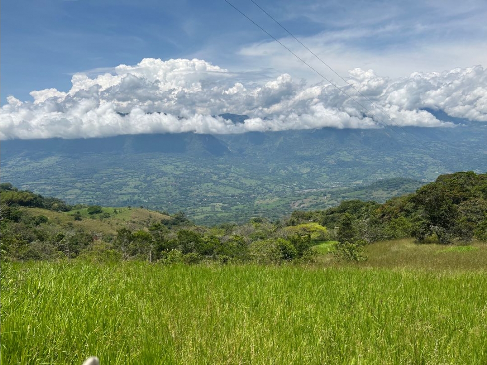 VENTA DE LOTE EN MARSELLA SUROESTE DE ANTIOQUIA - 1