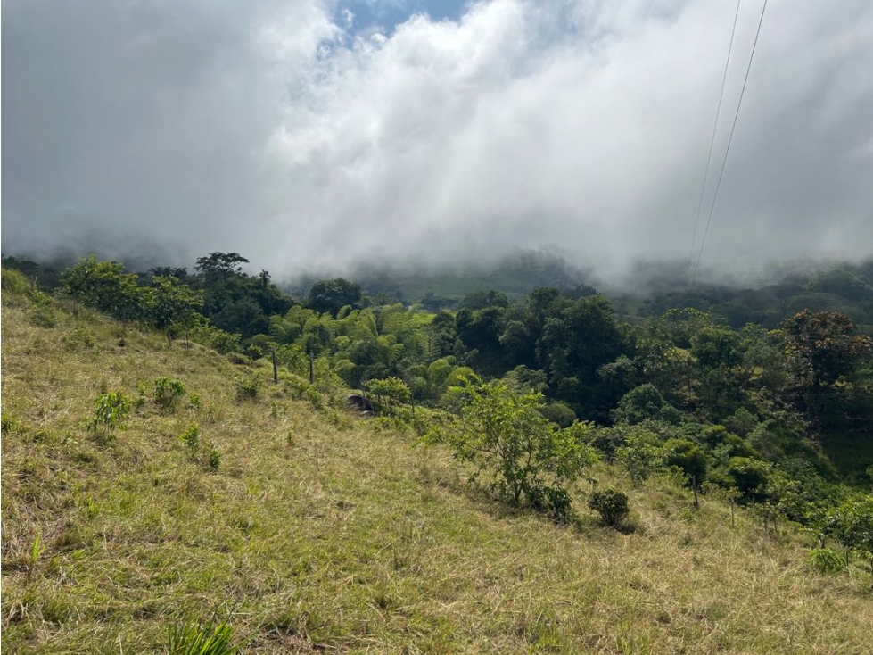 VENTA DE LOTE EN MARSELLA SUROESTE DE ANTIOQUIA - 5
