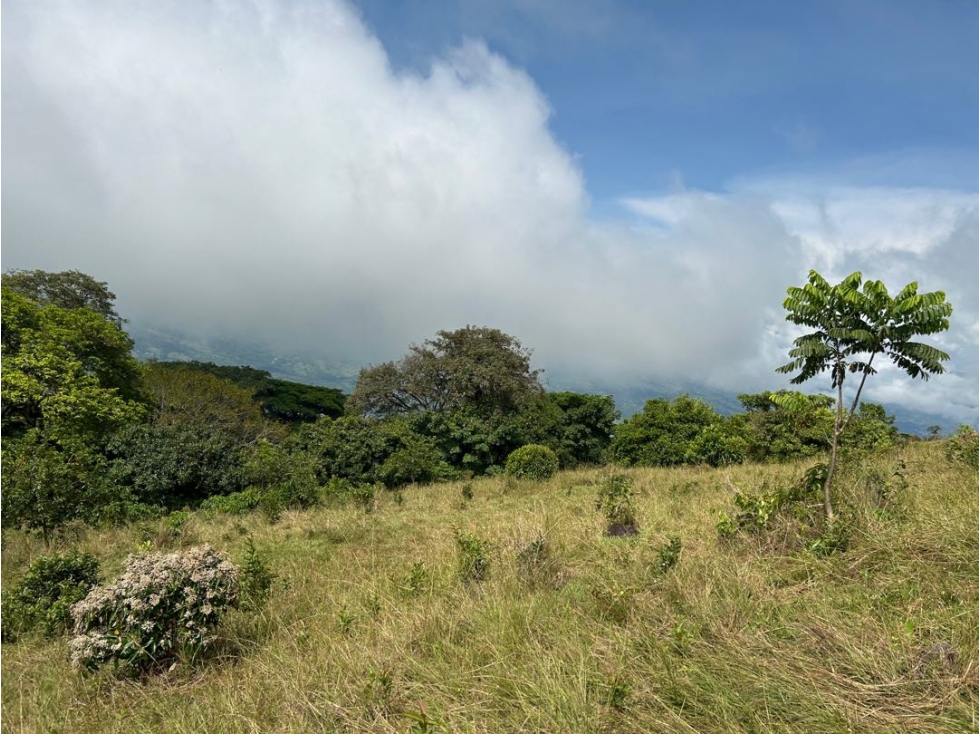 VENTA DE LOTE EN MARSELLA SUROESTE DE ANTIOQUIA - 6