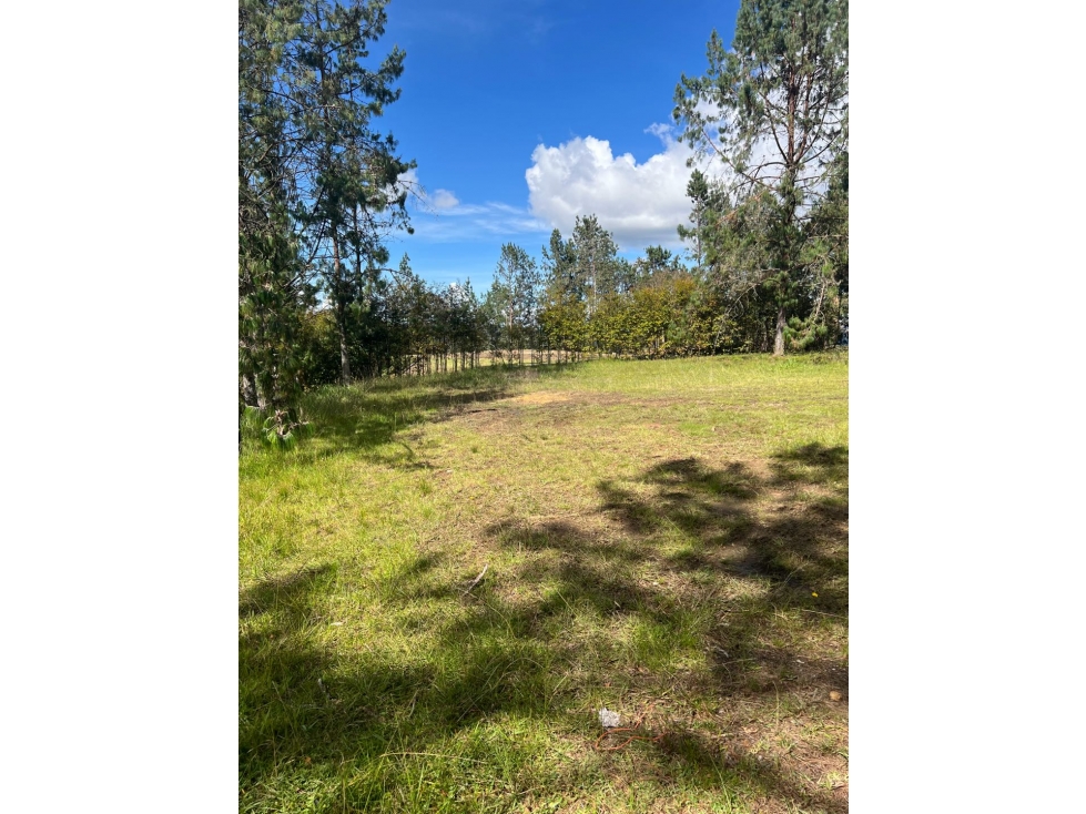 Venta de lote en parcelación altos del escobero
