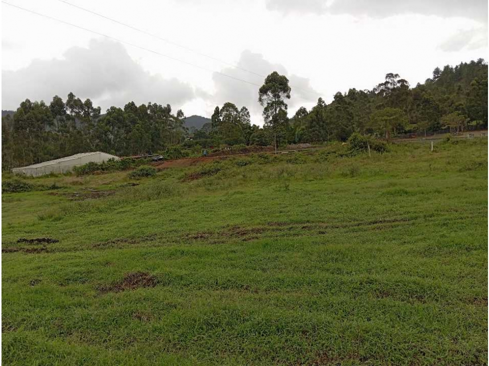 Venta lote la Ceja parcelación Cataluña ubicación privilegiada hermoso