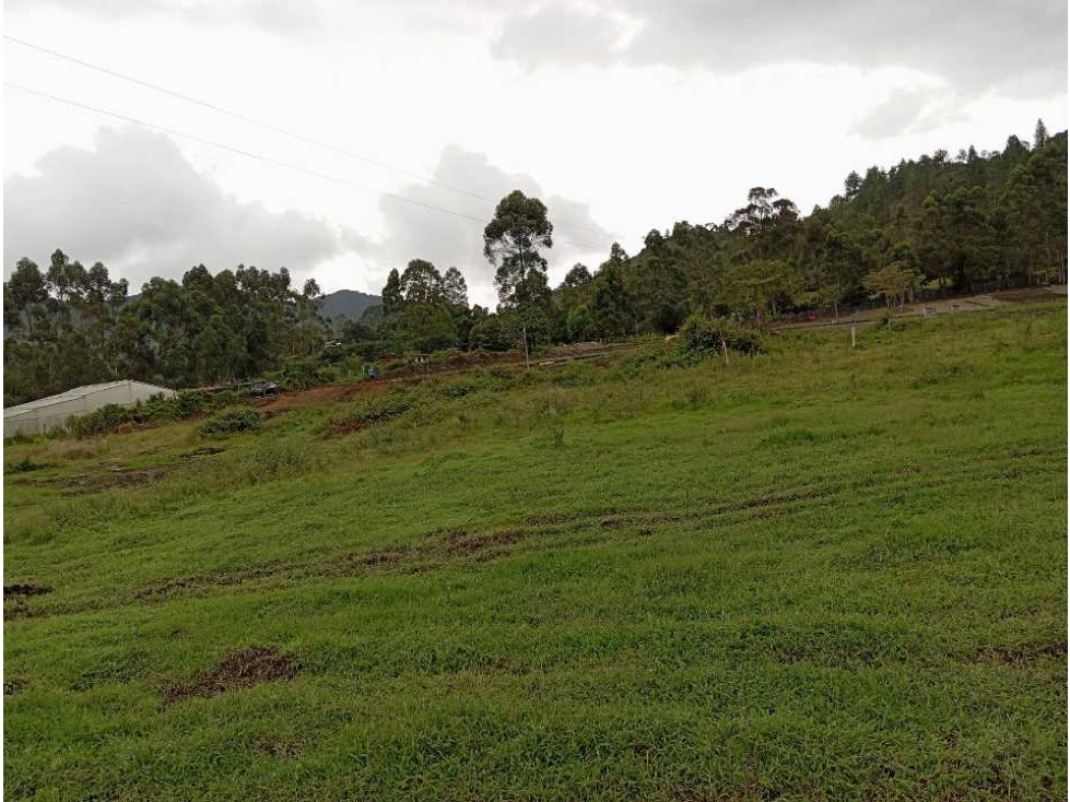Venta lote la Ceja parcelación Cataluña ubicación privilegiada hermoso — foto 2