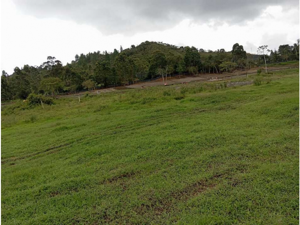 Venta lote la Ceja parcelación Cataluña ubicación privilegiada hermoso — foto 3