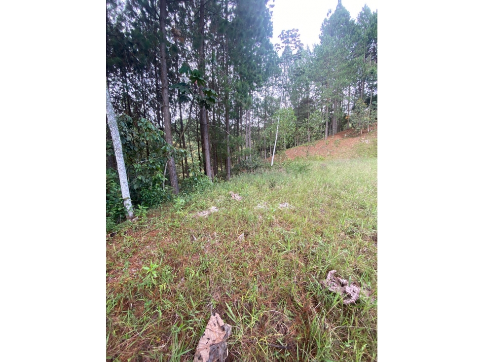 Venta de Lote en parcelación cerrada en El Retiro, Antioquia — foto 3