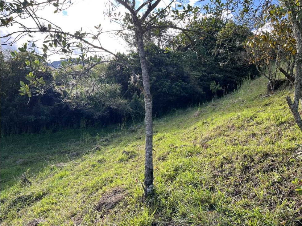 Venta Lote En Parcelación En Copacabana Antioquia — foto 5