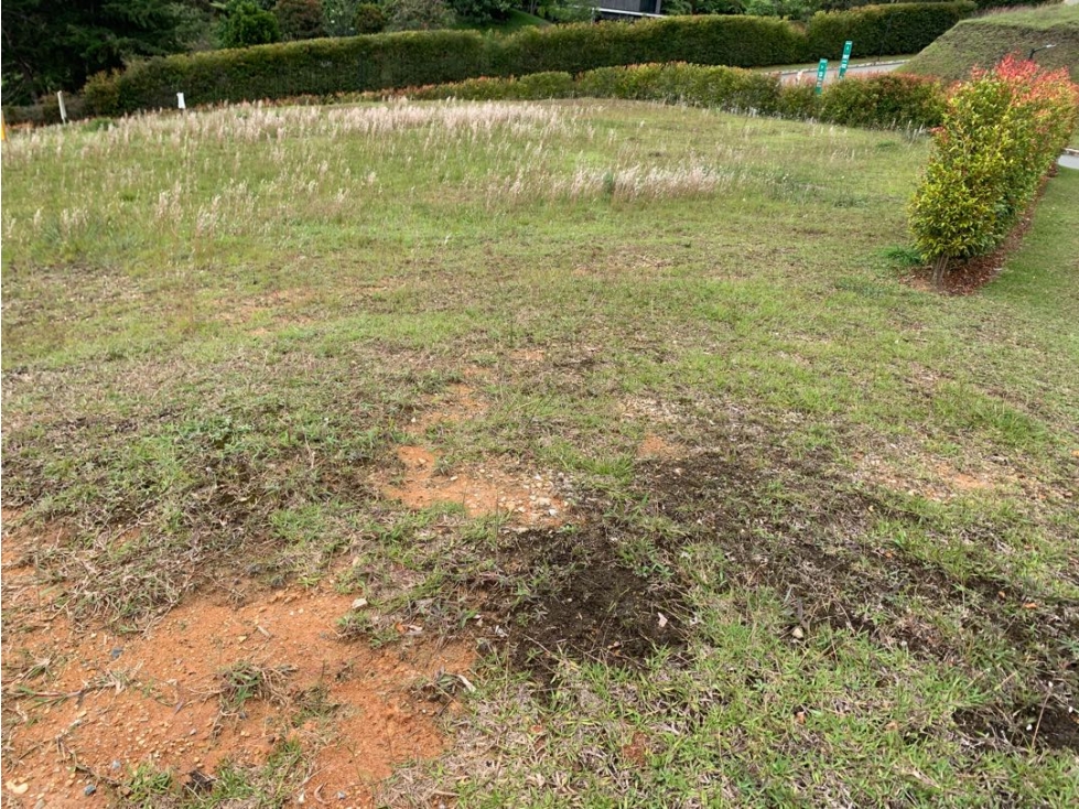 Venta de Lote en Parcelación La Ceja San Antonio Acc Pavimentados — foto 2