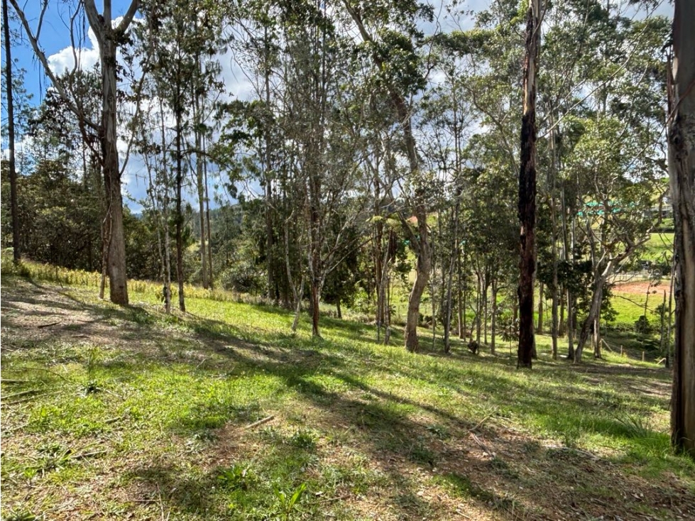 Venta de Lote en Parcelación Sector Pantanillo En El Retiro - 2