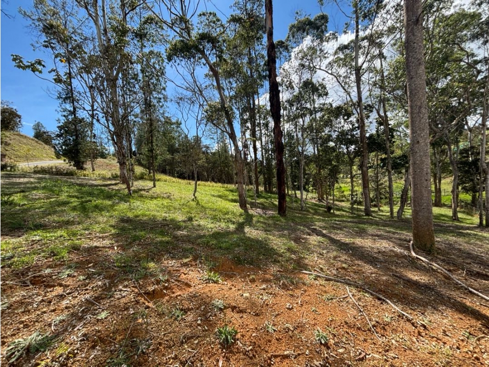 Venta de Lote en Parcelación Sector Pantanillo En El Retiro - 3