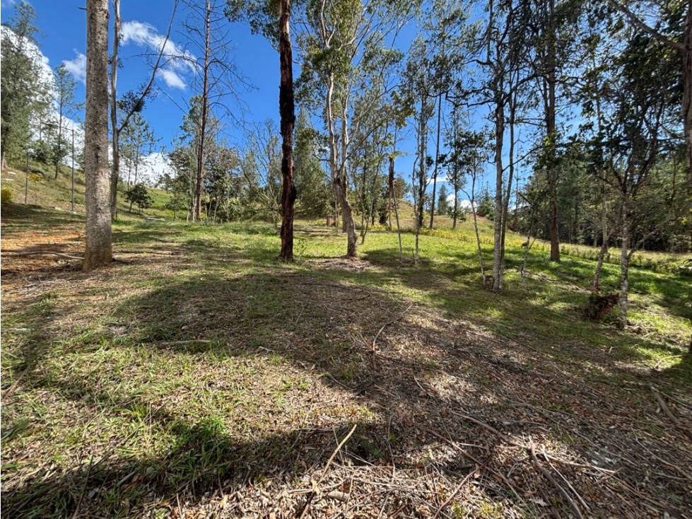 Venta de Lote en Parcelación Sector Pantanillo En El Retiro - 4