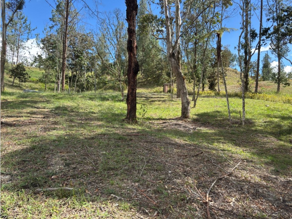 Venta de Lote en Parcelación Sector Pantanillo En El Retiro - 5