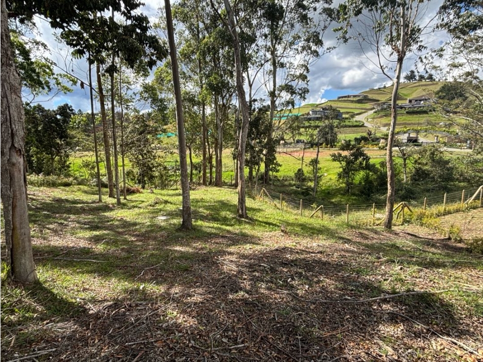 Venta de Lote en Parcelación Sector Pantanillo En El Retiro - 6