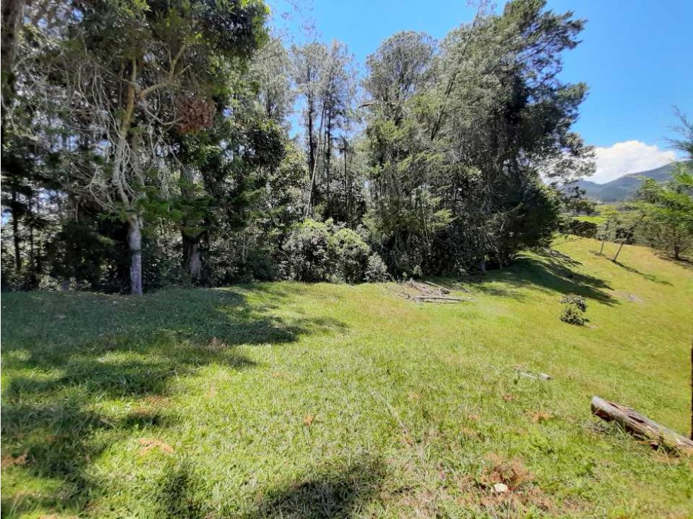 Venta de Lote en Parcelación via Carabanchel hacia la Fe — foto 4