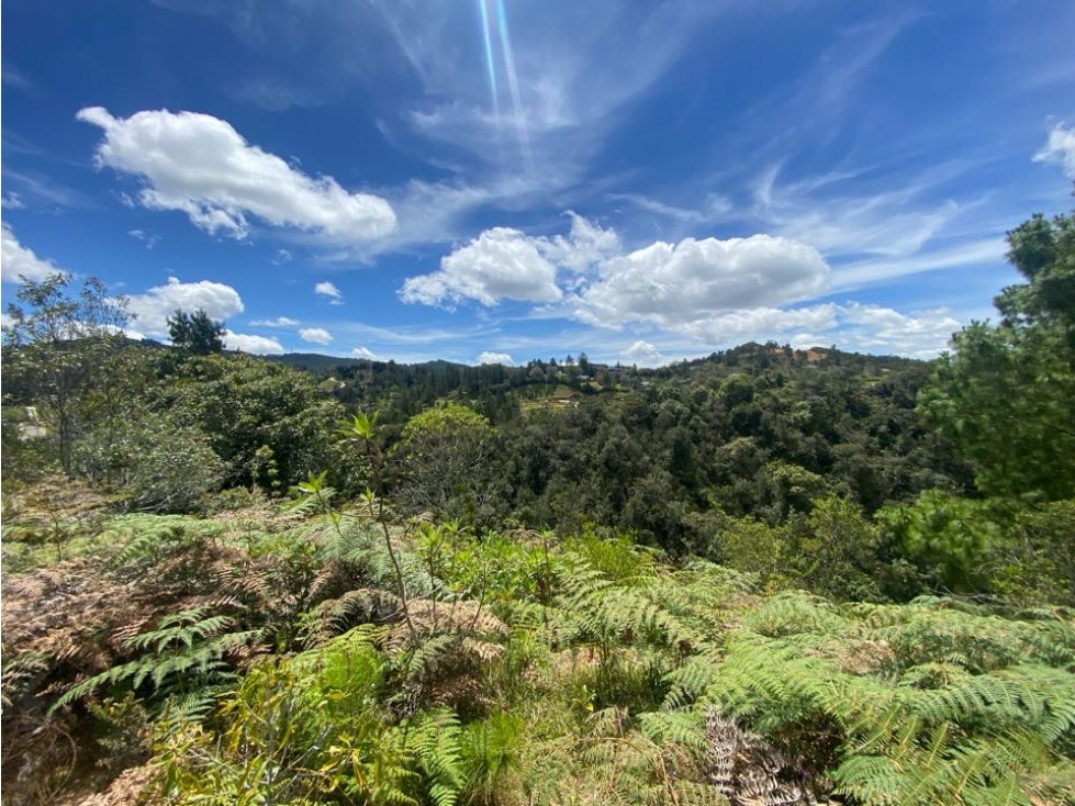 Venta de lote en parcelacion, Escobero- Alto de Palmas — foto 2