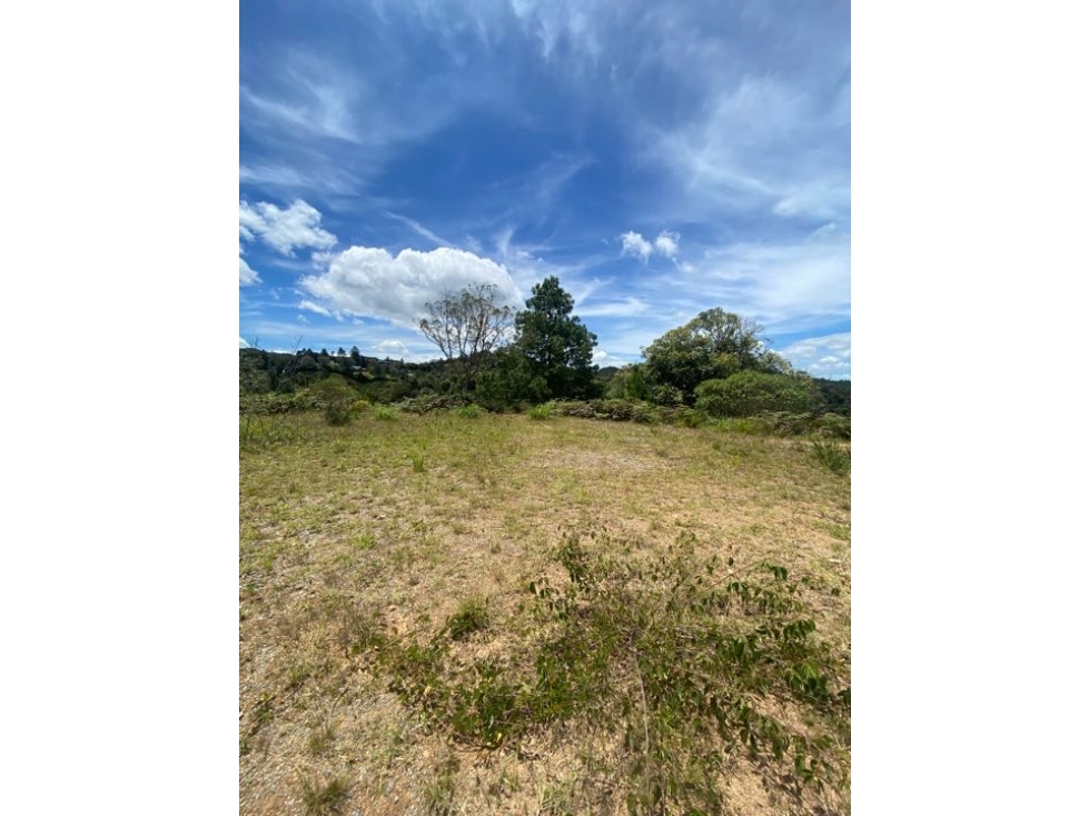 Venta de lote en parcelacion, Escobero- Alto de Palmas — foto 3