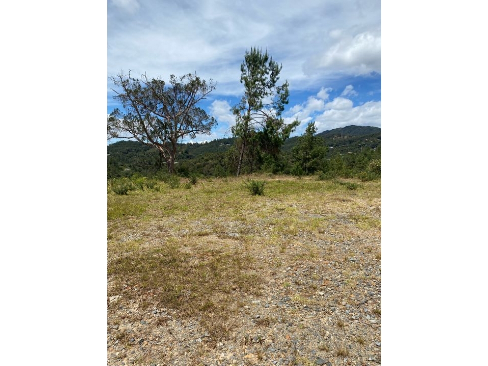 Venta de lote en parcelacion, Escobero- Alto de Palmas — foto 4