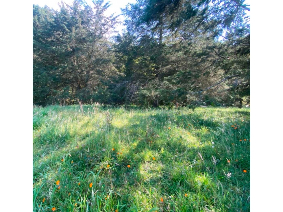Venta de lote en parcelacion con Porton Rionegro vereda Pontezuela — foto 5