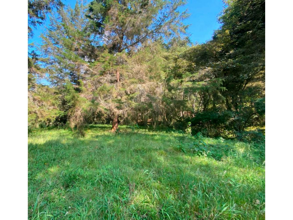 Venta de lote en parcelacion con Porton Rionegro vereda Pontezuela — foto 6