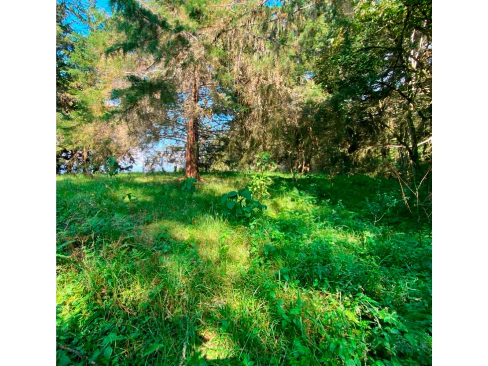 Venta de lote en parcelacion con Porton Rionegro vereda Pontezuela — foto 2