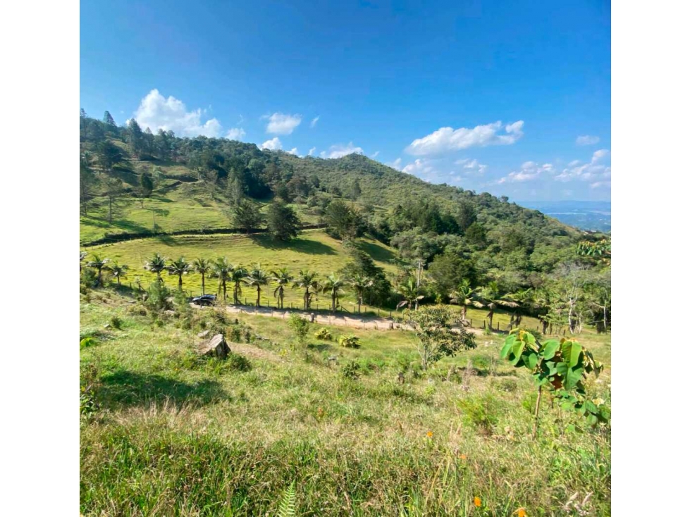 Venta de lote en parcelacion con Porton Rionegro vereda Pontezuela — foto 3