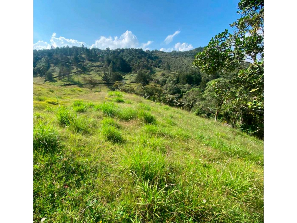 Venta de lote en parcelacion con Porton Rionegro vereda Pontezuela — foto 4