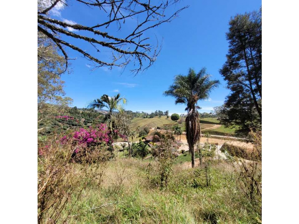 VENTA DE LOTE EN RIONEGRO - PARCELACION CERCA AL AEROPUERTO — foto 3