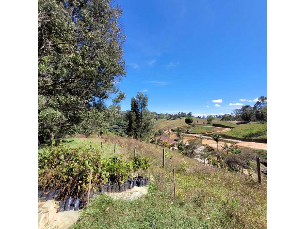 VENTA DE LOTE EN RIONEGRO - PARCELACION CERCA AL AEROPUERTO — foto 5
