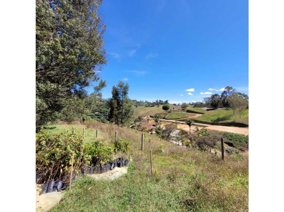 VENTA DE LOTE EN RIONEGRO - PARCELACION CERCA AL AEROPUERTO — foto 6