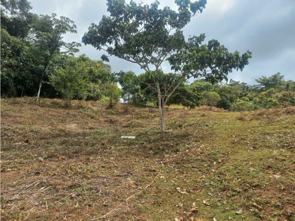 VENTA DE LOTE EN PAVAS MUNICIPIO DE LA CUMBRE - 1