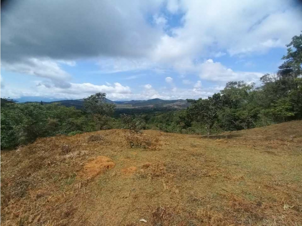 VENTA DE LOTE EN PAVAS MUNICIPIO DE LA CUMBRE - 2