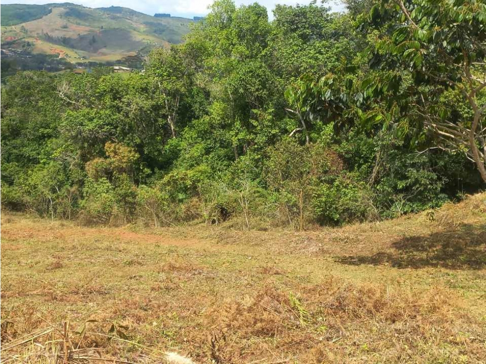 VENTA DE LOTE EN PAVAS MUNICIPIO DE LA CUMBRE - 5