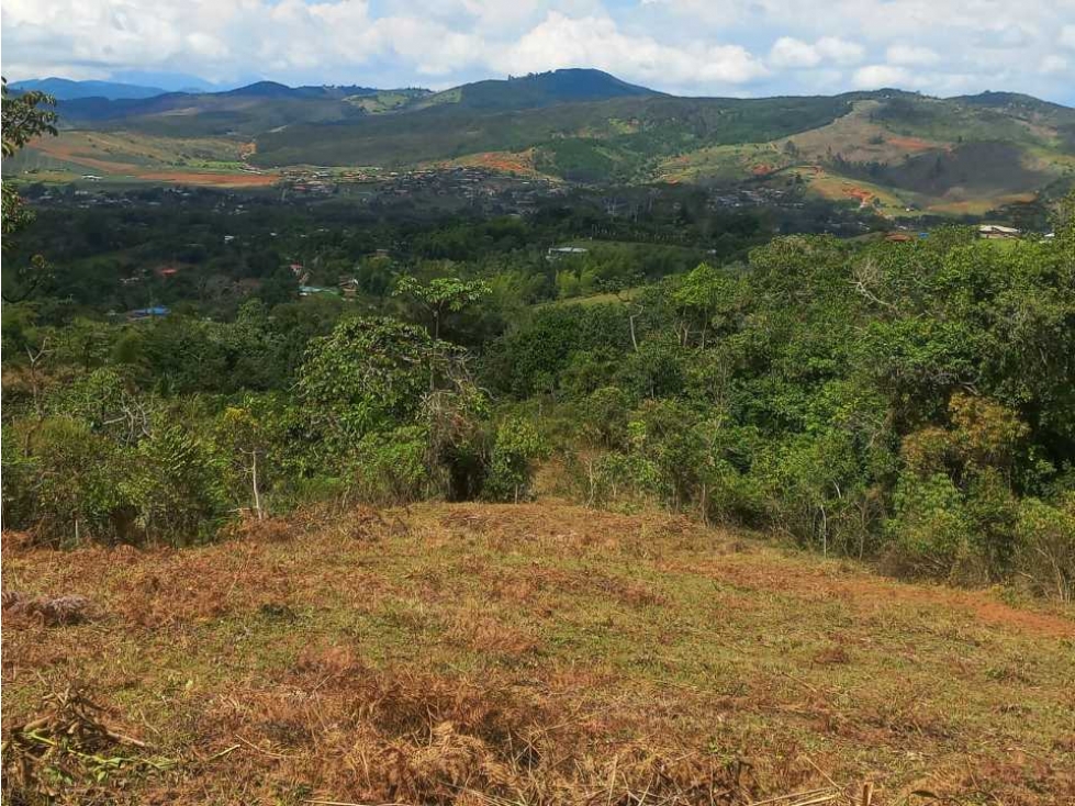 VENTA DE LOTE EN PAVAS MUNICIPIO DE LA CUMBRE - 6