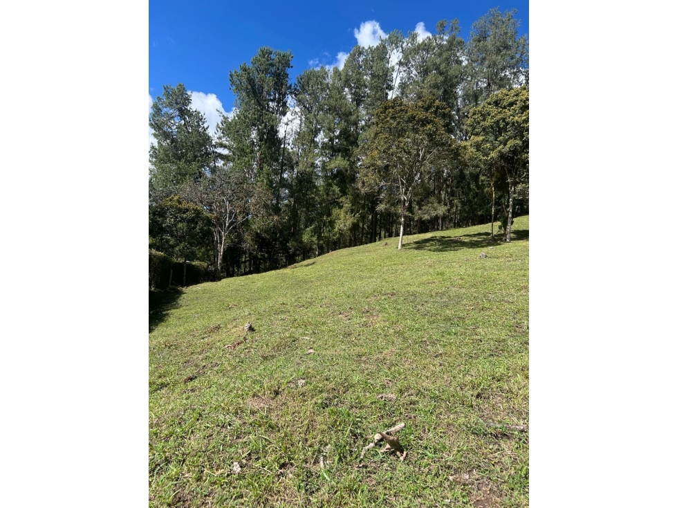 VENTA DE LOTE EN PONTEZUELA — foto 3