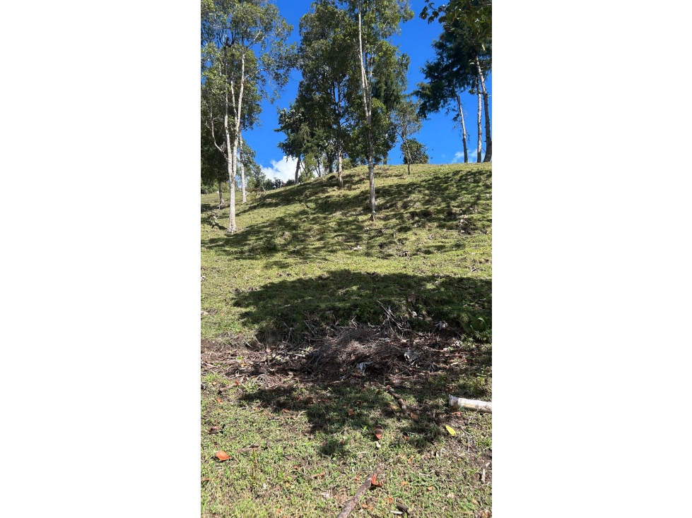 VENTA DE LOTE EN PONTEZUELA — foto 5