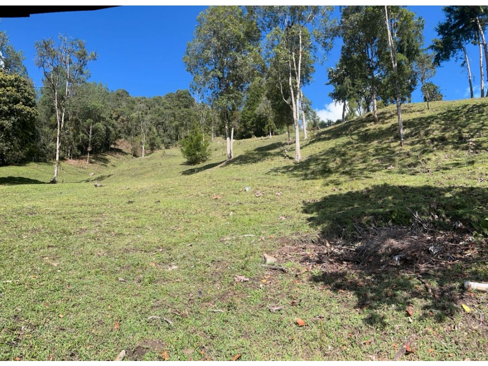 VENTA DE LOTE EN PONTEZUELA — foto 6