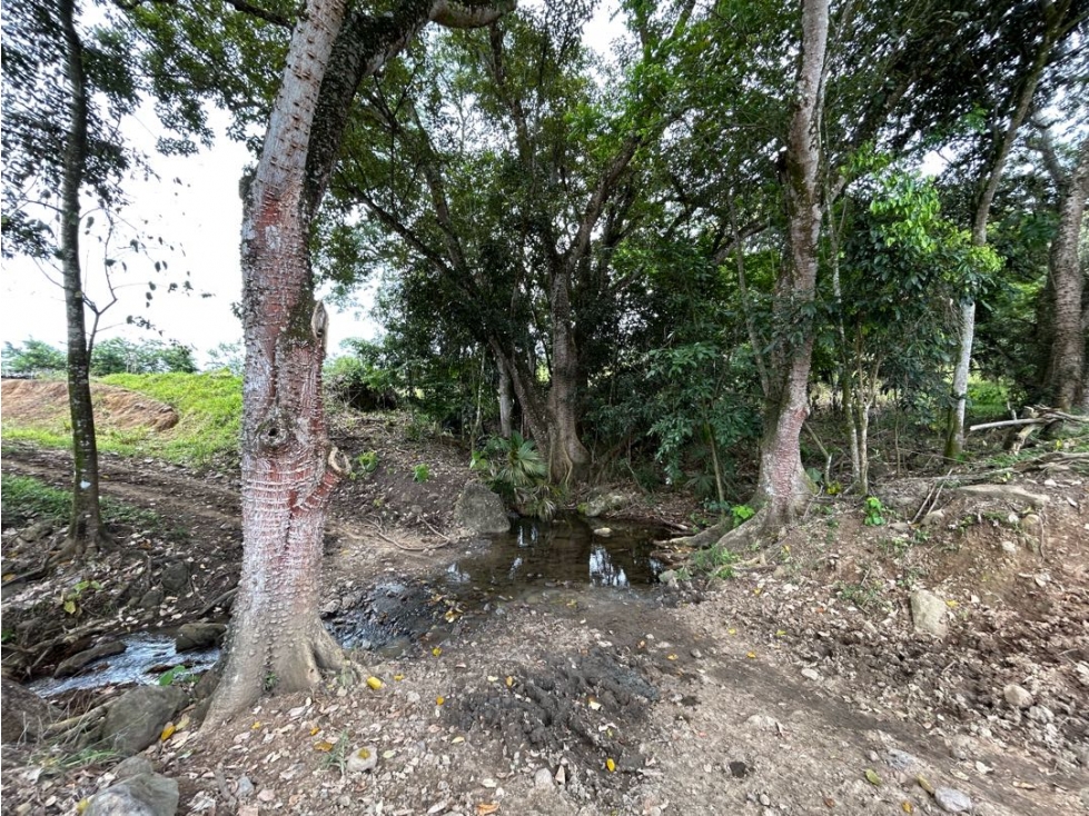 Venta de lote en puente iglesias - 2