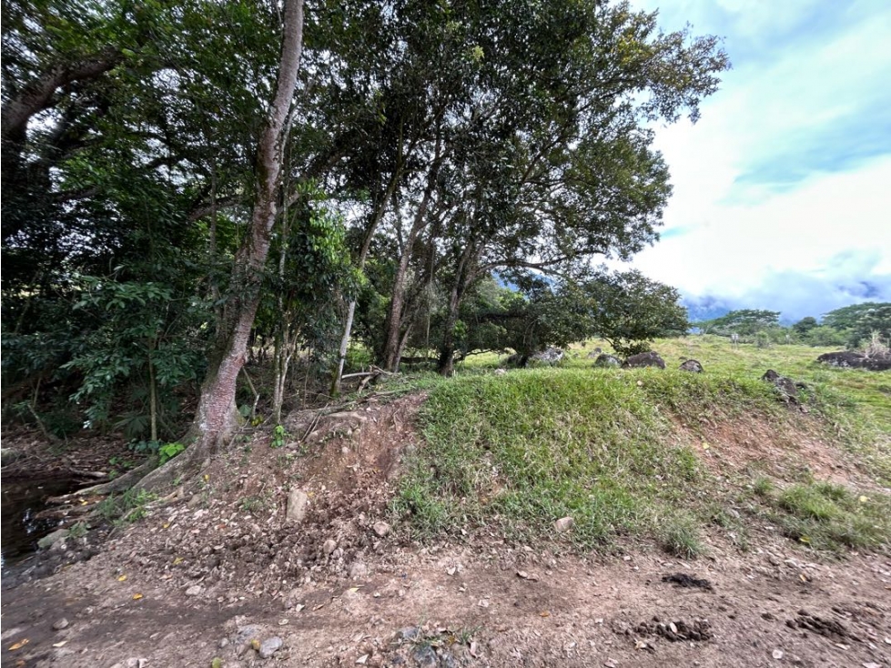 Venta de lote en puente iglesias - 4