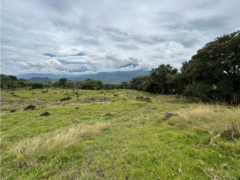 Venta de lote en puente iglesias - 6
