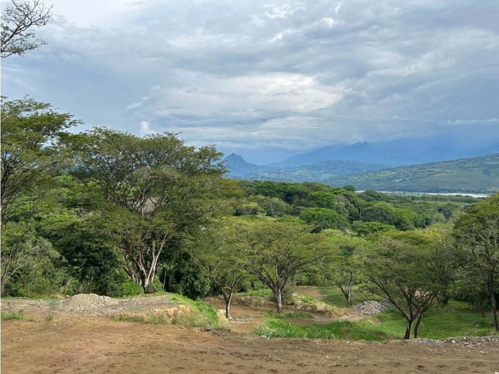 VENTA DE LOTE EN PUENTE IGLESIAS, SUROESTE DE ANTIOQUIA - 2