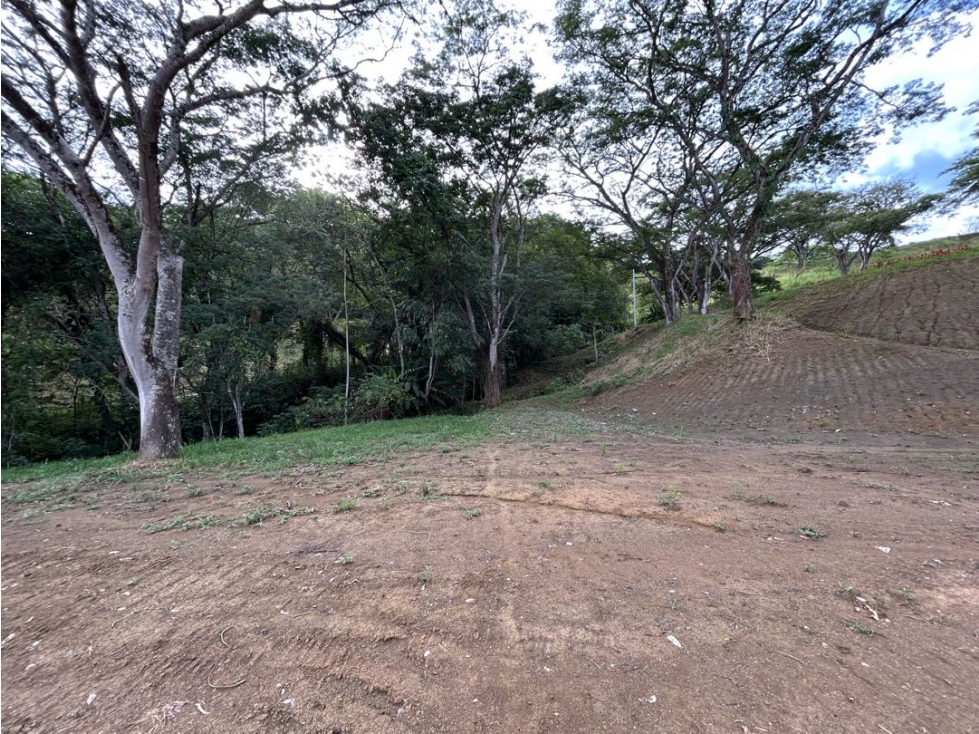 VENTA DE LOTE EN PUENTE IGLESIAS, SUROESTE DE ANTIOQUIA - 3