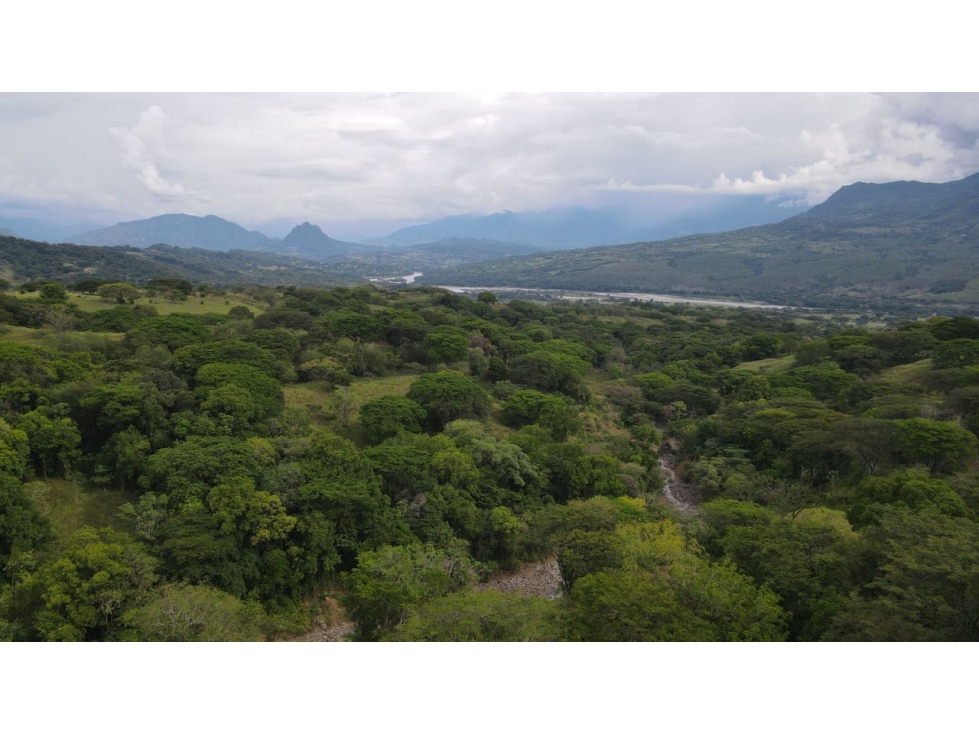 VENTA DE LOTE EN PUENTE IGLESIAS, SUROESTE DE ANTIOQUIA - 5