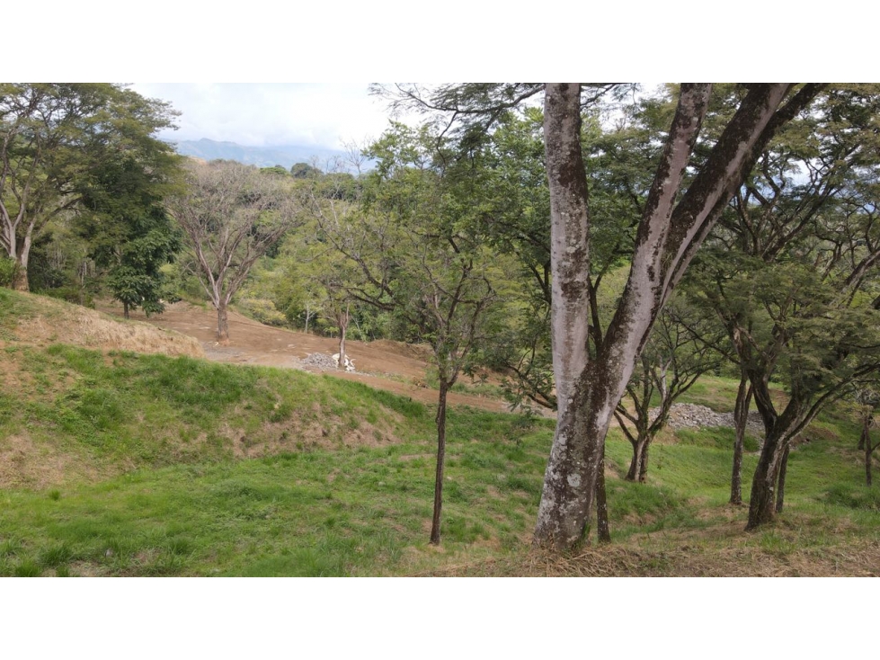 VENTA DE LOTE EN PUENTE IGLESIAS, SUROESTE DE ANTIOQUIA - 6