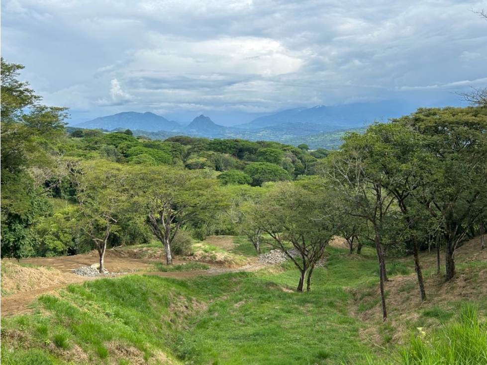 VENTA DE LOTE EN PUENTE IGLESIAS, SUROESTE DE ANTIOQUIA - 1